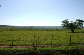 Foto - PASSEIO DO TREM TURÍSTICO DIA 24 DE JULHO - SÁBADO - MANHÃ
