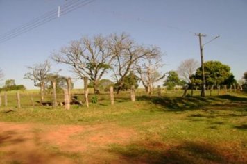 Foto - TARDE- PASSEIO DO TREM TURÍSTICO DIA 25 DE JULHO - DOMINGO