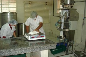 Foto - Funcionamento Piloto da Pasteurização de Leite em Paraguaçu
