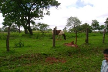 Foto - Passeio Maria Fumaça - Sábado