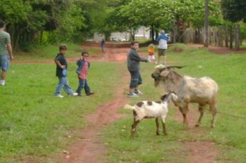 Foto - Passeio Maria Fumaça - Sábado