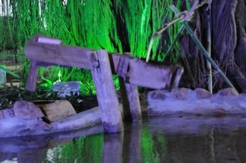 Foto - Trem Turtístico e Cultural com passeio noturno para Sapezal