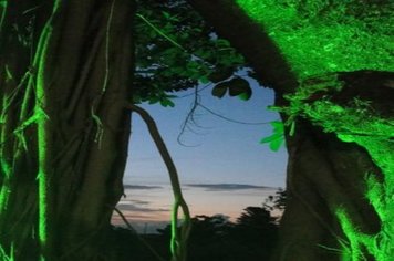 Foto - Trem Turtístico e Cultural com passeio noturno para Sapezal