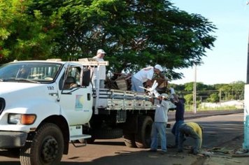 Foto - Cidade Limpa 2012 - 1º Dia