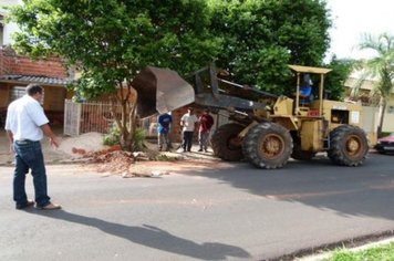 Foto - Cidade Limpa 2012 - 4º dia