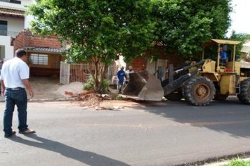 Foto - Cidade Limpa 2012 - 4º dia