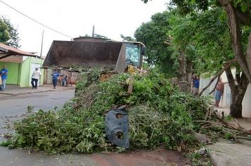 Foto - Cidade Limpa 2012 - 5º dia