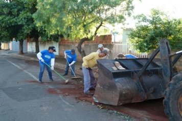 Foto - Cidade Limpa 2012 - 6º dia