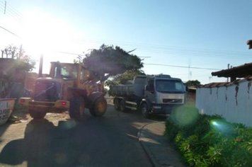 Foto - Cidade Limpa 2012 - 7º dia