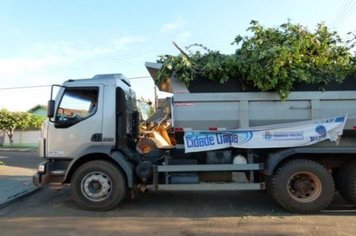 Foto - Cidade Limpa 2012 - 7º dia