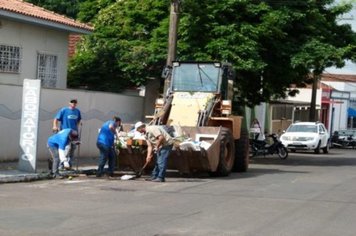 Foto - Cidade Limpa 2012 - 10º dia