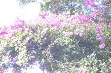 Foto - Passeio Maria Fumaça 05 de fevereiro