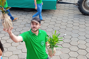 Foto - Desfile do Centenário de Paraguaçu Paulista