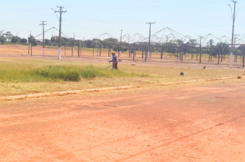 Área verde do Centro de Convergência segue com poda e capinagem para a Festa das Nações 