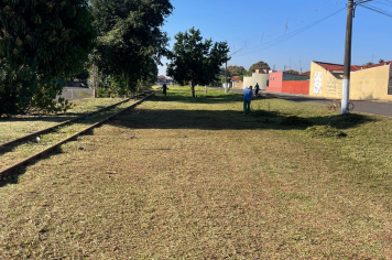 Prefeitura realiza limpeza em área verde da linha férrea no Jardim Panambi e região da LDC