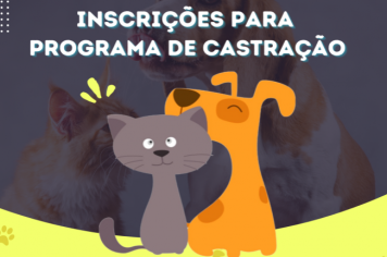 Prefeitura abre inscrições para a castração de cães e gatos