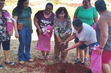 Com marca de 3 mil mudas nativas, prefeita Almira comemora Dia da Mulher com plantio de árvores