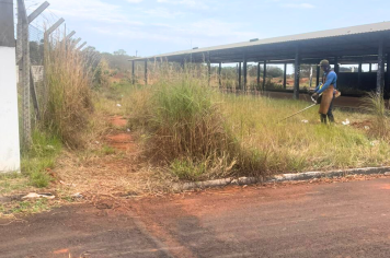Centro de Convergência passa por melhorias e se prepara para a Expo Paraguaçu 2025