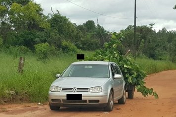 Meio Ambiente recebe denúncia e notifica morador por descarte irregular de poda de árvore