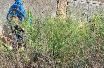 Região central também sofre com abandono: limpeza está sendo realizada em Terreno na 'Manílio Gobbi'
