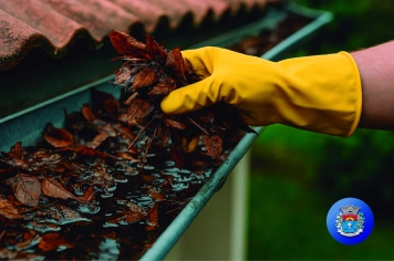 Combate à Dengue: O inimigo pode estar dentro de casa!