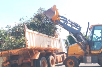 Departamento de Obras segue recolhendo árvores e galhos que caíram durante o temporal
