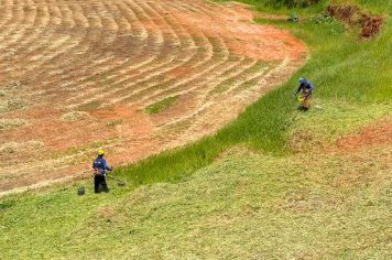 Prefeitura faz limpeza, poda e roçagem no 'Buracão', na Barra Funda
