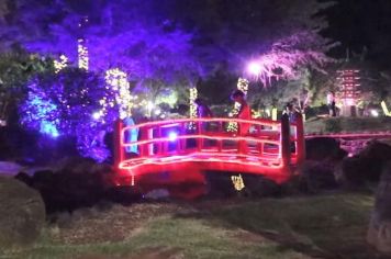 Totalmente iluminado, Jardim das Cerejeiras se transforma em cartão postal natalino de Paraguaçu Paulista