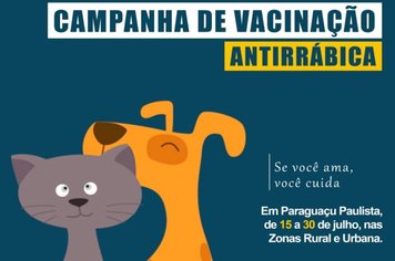 Programa Rede de Proteção de Animais de Paraguaçu reúne médicos veterinários