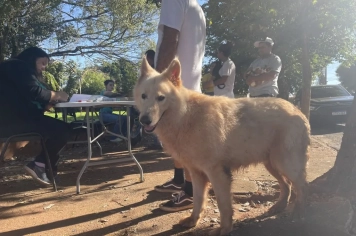 Campanha itinerante de vacinação contra a Raiva foi realizada hoje no Jardim das Oliveiras