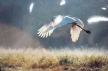 Departamento de Cultura divulga suas intensas ações