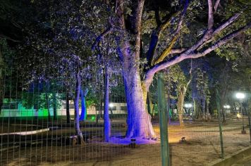 Prefeitura entrega nova iluminação ao “Bosque da Galdino”