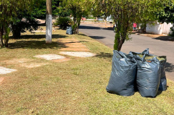 'Zé do Pito', Praça do Lapa e 'canteiro do Plimec' recebem manutenção da Prefeitura de Paraguaçu