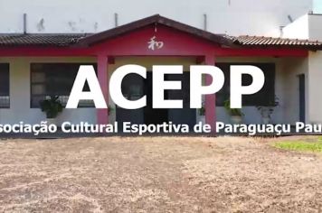 ACEPP vai representar o Japão na Festa das Nações