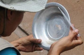 DENGUE: Número de casos positivos nem sempre corresponde à realidade