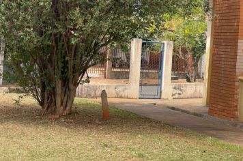 Poda e limpeza finalizadas em toda a área do Clube da Juventude II