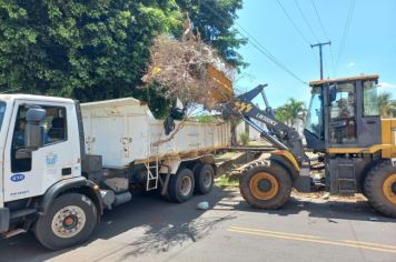 Em parceria, departamentos de Saúde,  Obras e Meio Ambiente promovem grande ação contra a leishmaniose em Paraguaçu Paulista