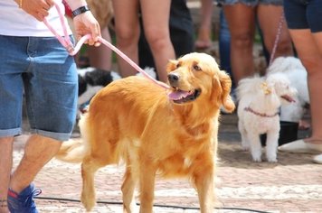 1º Amicão da Estância Turística de Paraguaçu Paulista é sucesso absoluto