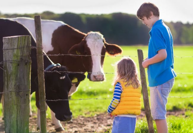Curso de Turismo Rural vai abordar uso de mídias sociais
