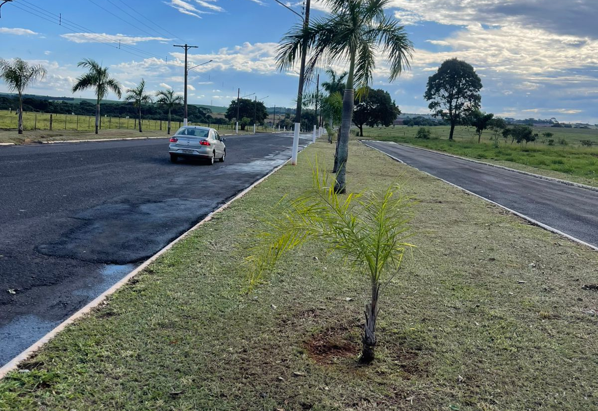 Avenida Hissagy Marubayashi recebe roçagem e limpeza que valorizam entrada de Paraguaçu Paulista