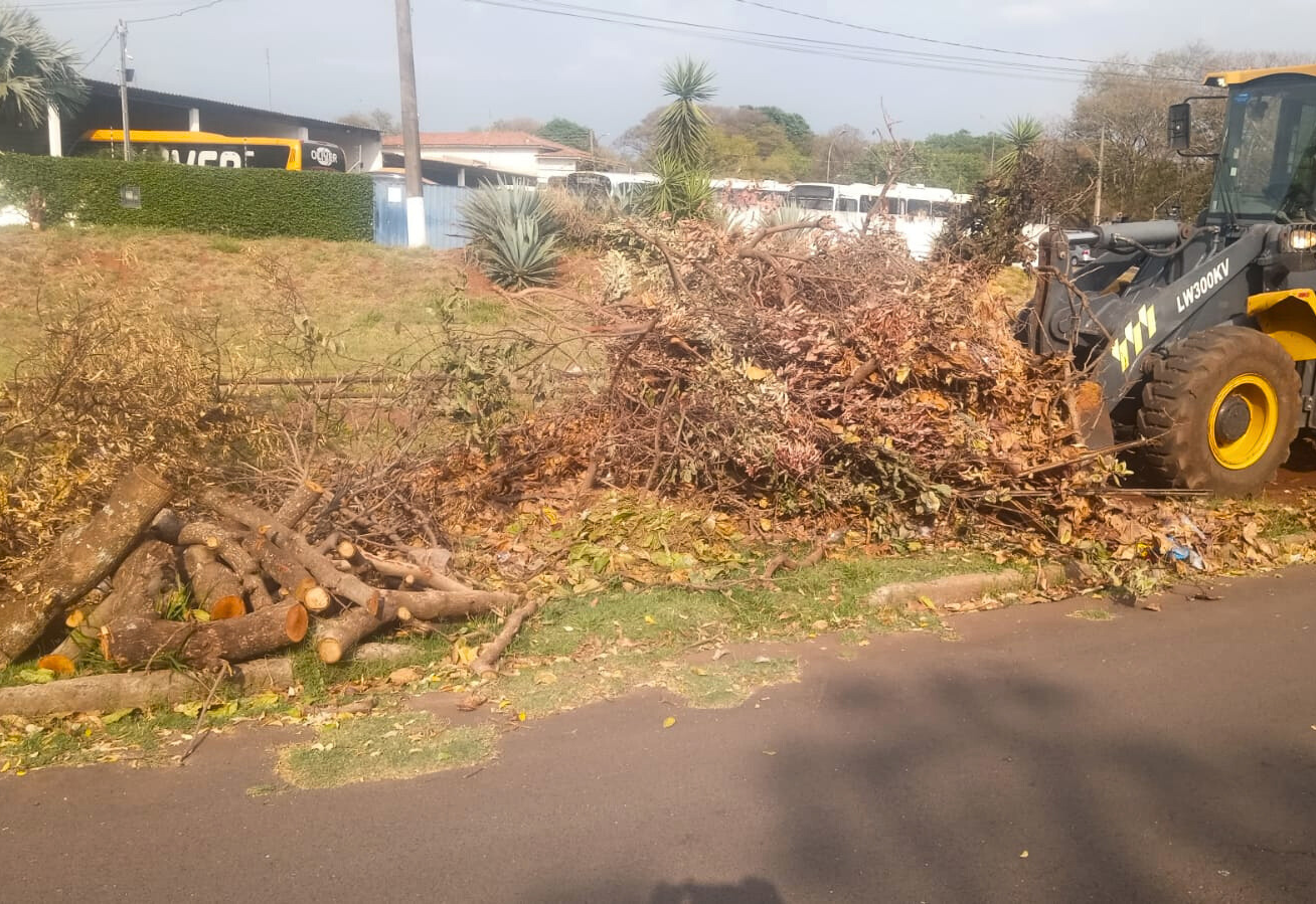 Descarte irregular de podas mobiliza equipes da Prefeitura na Vila Priante