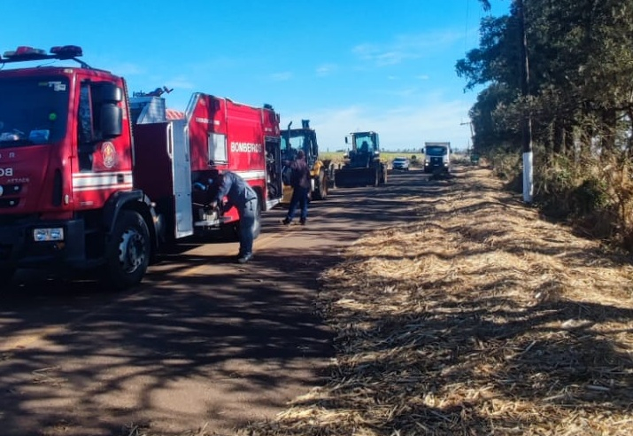 Prefeitura pede colaboração da população e alerta contra cortes irregulares e descartes indevidos após temporal