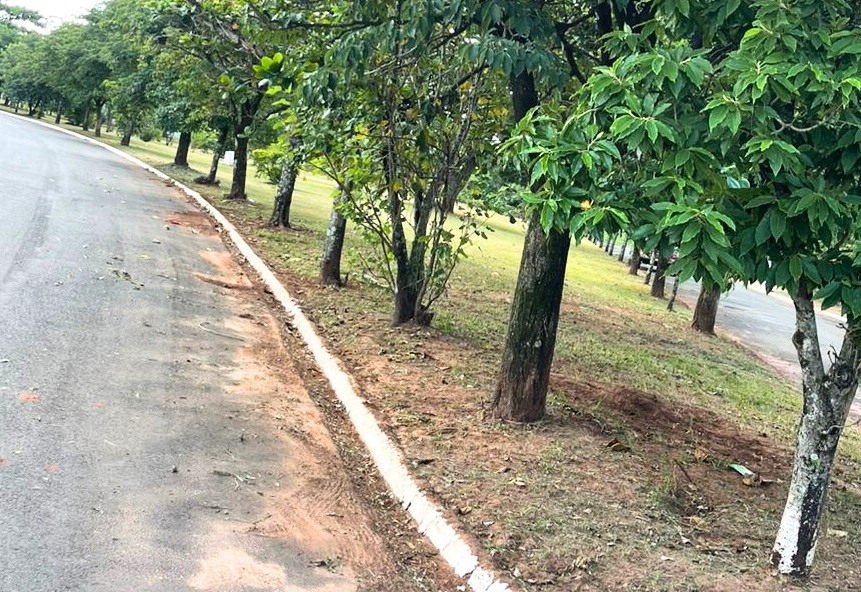 Capina e limpeza finalizadas na praça da Rua Almeida Porto, no Panambi