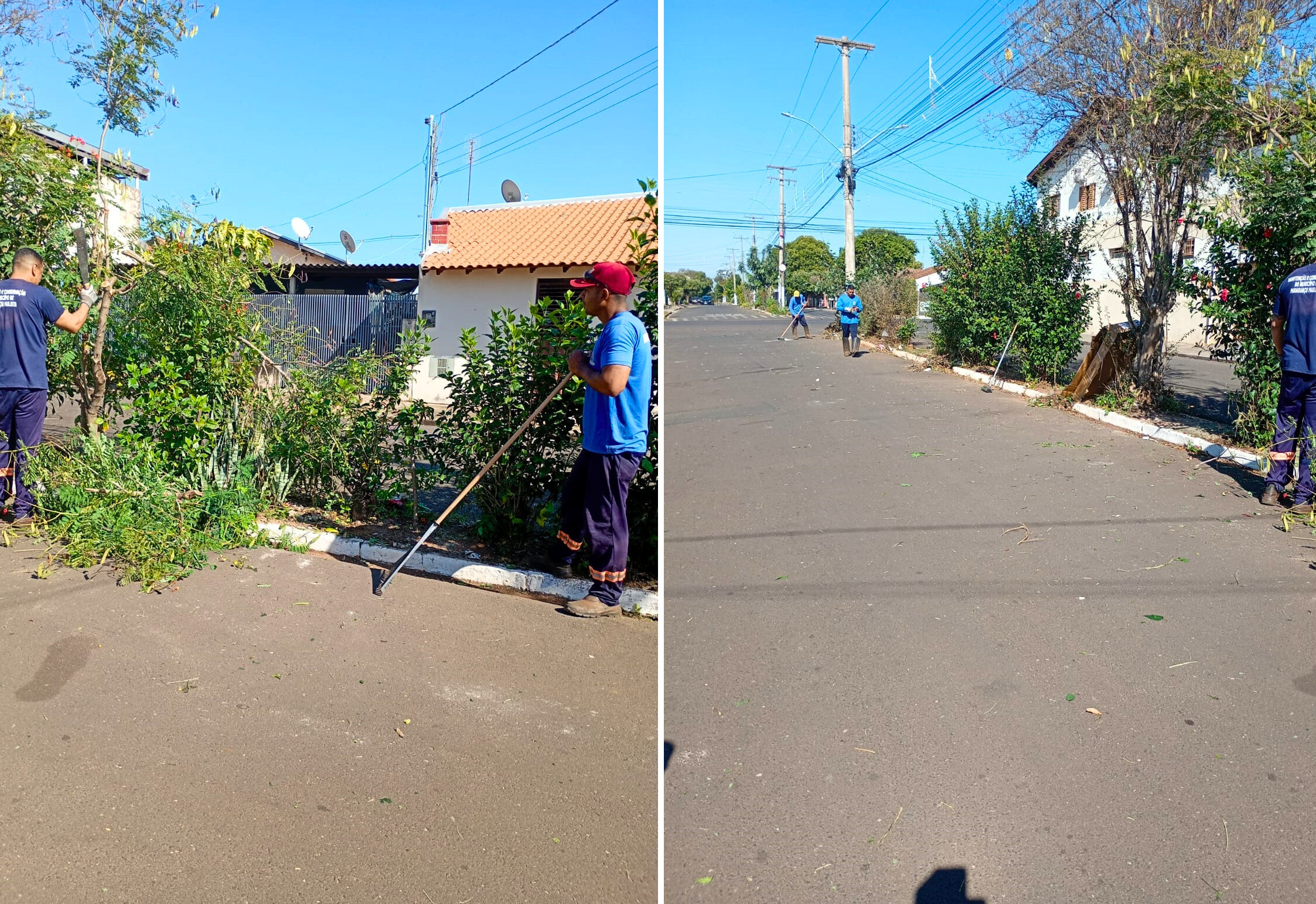 Avenida que 'atravessa' o Jardim das Oliveiras ganha limpeza geral
