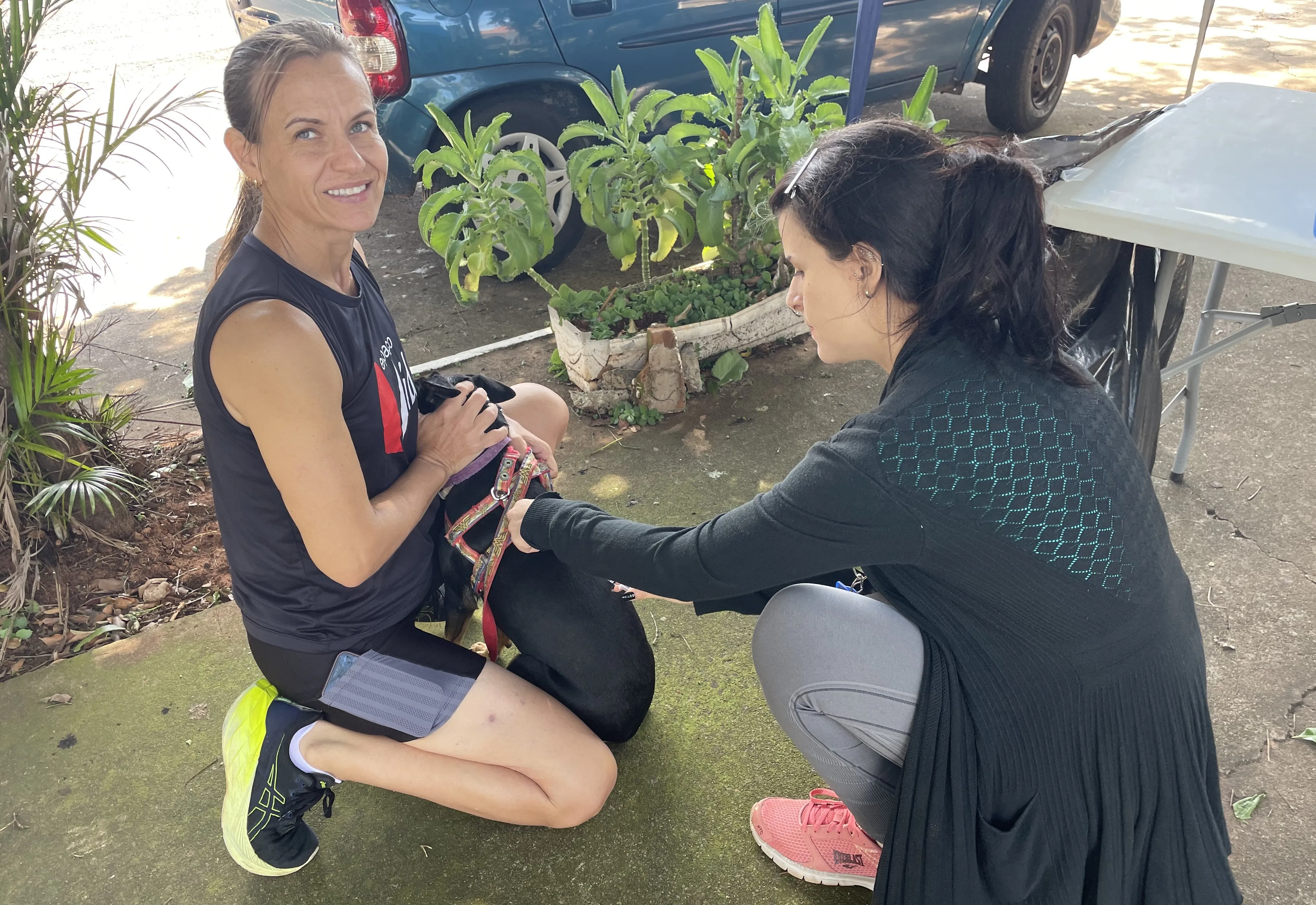 Vacinação contra raiva para cães e gatos está sendo realizada hoje na Vila Priant e Jardim Panambi