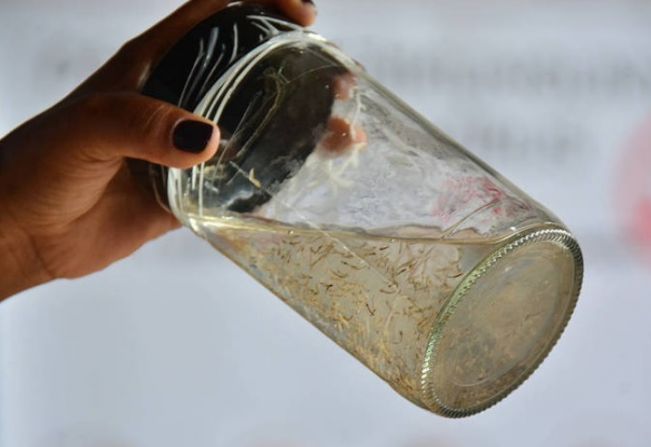 Paraguaçu tem mais de mil casos de dengue