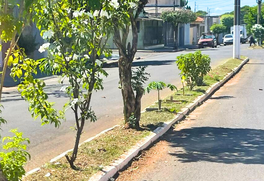 Canteiro central da Av. Bandeirantes recebe poda e limpeza geral