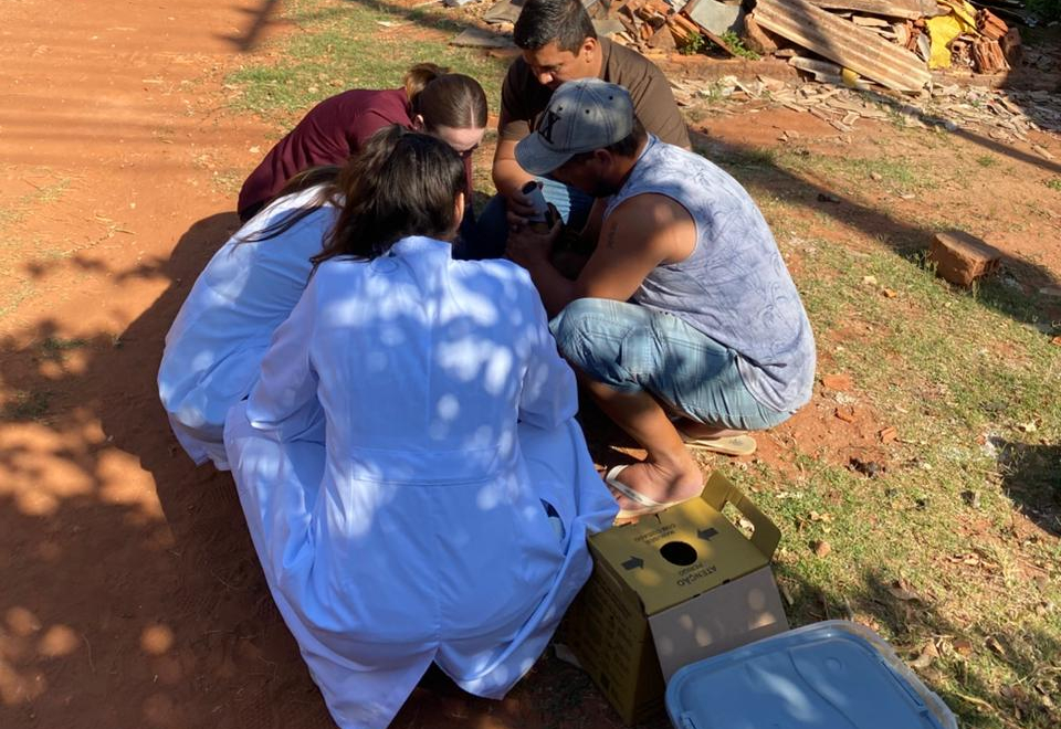 Inquérito sorológico de leishmaniose canina é realizado na USF Barra Funda 1