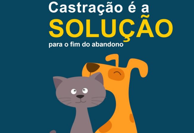 Prefeitura de Paraguaçu consolida programa de controle da população de cães e gatos