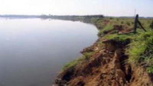 Agricultores querem aperfeiçoamento urgente do Código Florestal